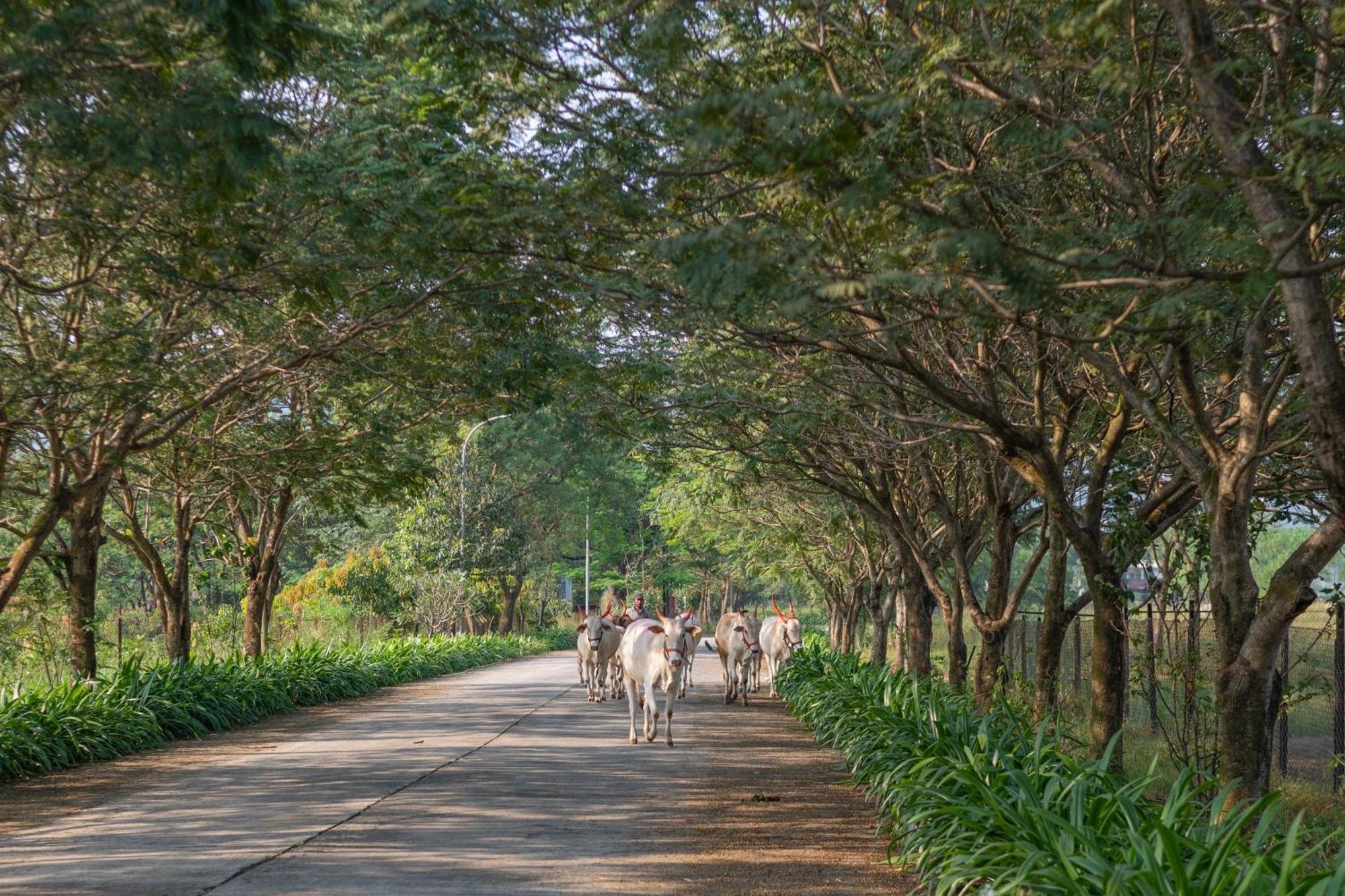 Sterling Stolen Heaven Lonavala Hotel Екстериор снимка